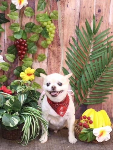 20230812ソックスくん